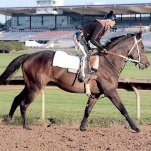 Meet your Posher, Sherry